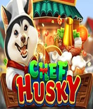 CHEF HUSKY
