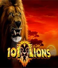 101 Lions
