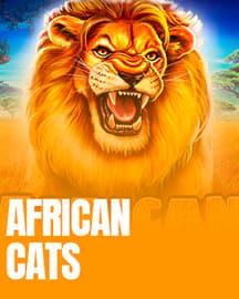 African Cats