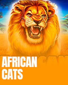 African Cats