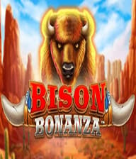 Bison Bonanza95