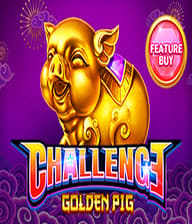 FEATURE BUYGOLDEN PIG