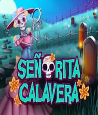 Bingo Seorita Calavera