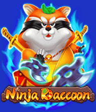 Ninja Raccoon