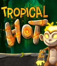 Tropical Hot