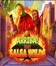 Arriba Heat Salsa Wilds 96