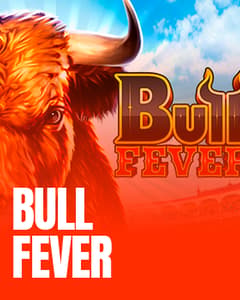 Bull Fever