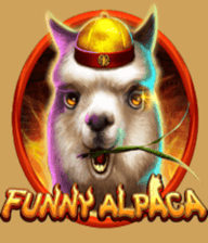 Funny Alpaca