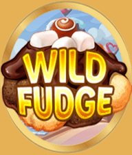 Wild Fudge