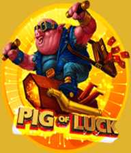Pig Of Luck