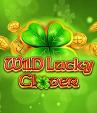 Wild Sticky Clover
