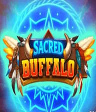 Sacred Buffalo