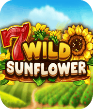 Wild SunFlower