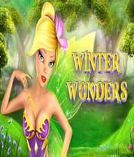 Winter Wonders