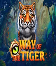 Way Of The Tiger95