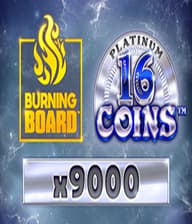16 Coins Platinum Burning Board