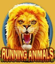 Running Animals