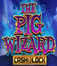 The Pig Wizard Cash Lock