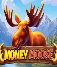 Money Moose