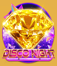 DiscoNight