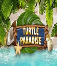Turtle Paradise