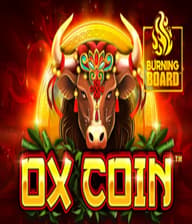 Ox Coin Burning Board
