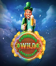 Wild Leprechaun