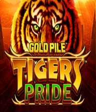 Gold Pile Tigers Pride