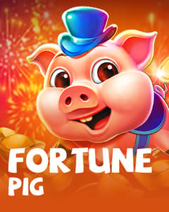 Fortune Pig
