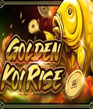 Golden Koi Rise