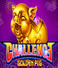 CHALLENGEGOLDEN PIG