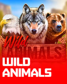 Wild Animals	