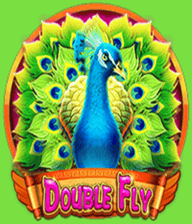 Double Fly