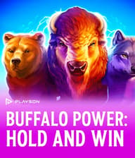 Buffalo Power: Hold and Win