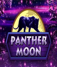Panther Moon