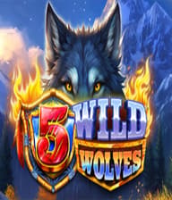 5 Wild Wolves