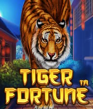 Tiger Fortune