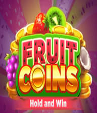 Fruit Coins Hold  Win 93