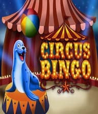 Circus Bingo