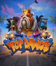 Top Dawg