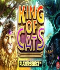 King of Cats