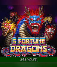 5 Fortune Dragons