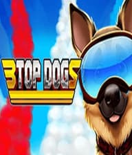 3 Top Dogs 91