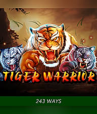 Tiger Warrior